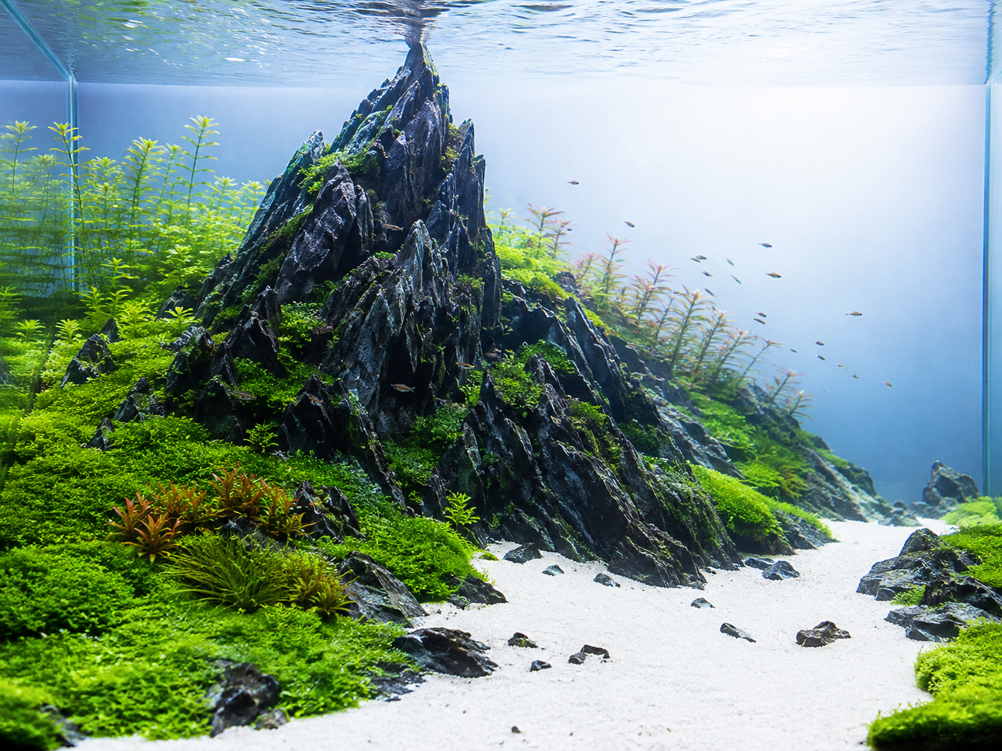 A nature-style aquascape built around a triangular mountain of dark stone