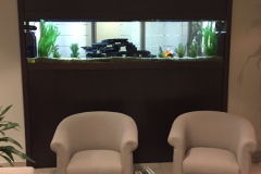 aquarium-in-waiting-room-of-office