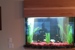 built-in-fish-tank