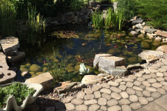 pond-landscaping